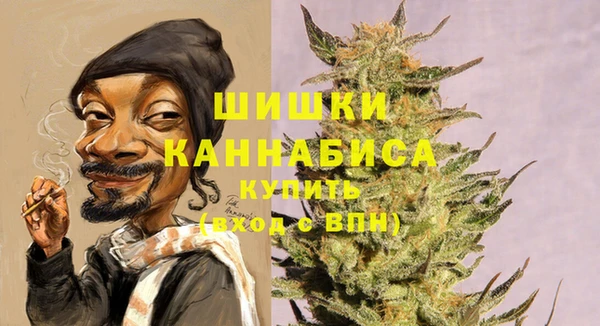 бутират Каменка