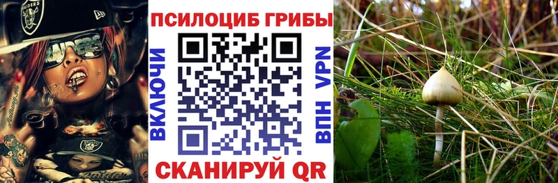 Галлюциногенные грибы MAGIC MUSHROOMS  наркошоп  Калининец 